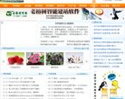 APPPC周排名