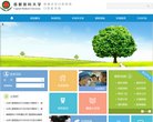 "生活服务"下的所有分类