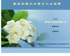 站点导航