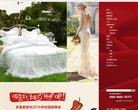 福建地方安博anbo新人权益(更新