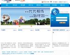 "网络科技"下的所有分类
