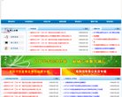 网站类型
