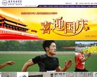 网站类型