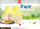 安博最新app