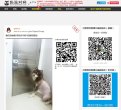 宠物玩具安博最新app优惠活动(更新