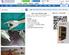 站点导航