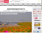 "行业企业"下的所有分类