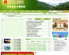 "生活服务"下的所有分类