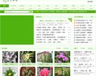 关于站长安博anboapp下载