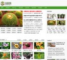 主页> 行业排名 > 地区排名 > 