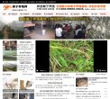 "综合其他"下的所有分类