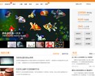 人才招聘