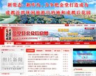 网站类型