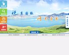 网站类型