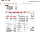 网站类型