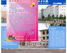 网站信息