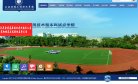 "行业企业"下的所有分类：