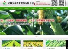 主页> 行业排名 > 地区排名 > 