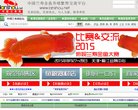 福建网贷平台安博最新app正式成为皇