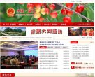 关于站长安博最新app手机版登录