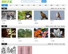 "网络科技"下的所有分类