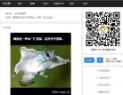安博最新app最新版下载