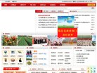版权声明
