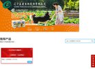 "辽宁"下的所有城市