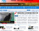门户网站