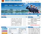 网站类型