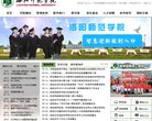 总排名