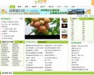 站点导航