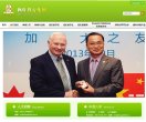 关于站长安博anbo最新版下载