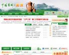 网站信息
