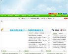 关于站长安博anbo新手怎么玩