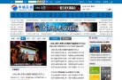 网站类型
