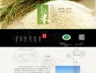 版权声明