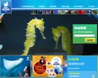 站点导航