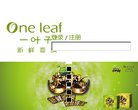 安博最新app手机版登录
