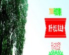 "医疗健康"下的所有分类