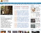 站点导航