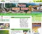 网站信息