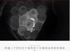 "医疗健康"下的所有分类：