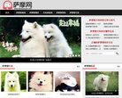 版权声明