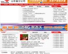 网站信息