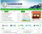 网站类型：