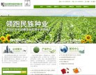安博anbo操作说明