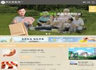 电子元器件