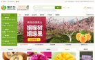 主页> 行业排名 > 地区排名 > 