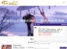 网站信息
